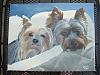 alaskayorkie, I'm keeping Eddie and Jack's painting I just finished!!-eddie-jack-painting-finished-005.jpg