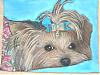 Isn't Lexie a doll!!  Here is a pastel portrait of her I just finished-lexie-smaller.jpg