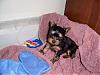 New photo of my baby-jake-5wks-resized.jpg