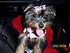 First Road Trip-100_0920-1-web.jpg