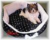 10 Months old already-olivia-new-bed-3.jpg