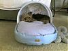 Wookie's New Louis Dog Bed-wookie_bed_2.jpg