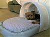 Wookie's New Louis Dog Bed-wookie_bed_3.jpg
