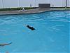Swimming Maniak!!-bobbys-42nd-birthday-017.jpg