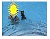 Swimming Maniak!!-snickers-swimming.jpg