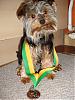 Oliver won!!-dog-show-2006-012.jpg