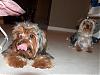 Oh, yeah... we love baths!!-august-223.jpg