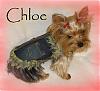 Just wanted to share..-0-4-chloe.jpg