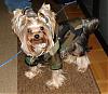 Oscar's stylin!-oz-raincoat2.jpg