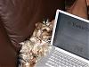 What Does Your Yorkie Do When You Are On Yt??-oscar-yorkietalk.jpg