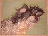 Here is Peanut!  I just finished his portrait.-peanuts-portrait1.jpg