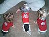 Go Buckeyes, GO!!!!  #1!!!!!-buckeypics-029.jpg