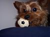 Simon and his soccer ball--The Story-100_2745.jpg