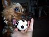 Simon and his soccer ball--The Story-100_2001.jpg