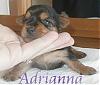 ****Show me BABY pics!****-adrianna1b.jpg