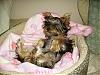 ****Show me BABY pics!****-sleep-480-x-360-.jpg