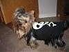 Happy Early Halloween!!-img_0127.jpg