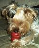 Topher's favorite treat-aatopher-sept-063.jpg