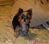 This is Chloe-dsc00606.jpg