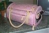 Maddie's Carrier from Tinkerbells Closet-coach6.jpg