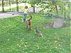 Pics of Gus-134_3481.jpg