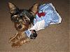 Ready for Halloween!-halloween-056.jpg