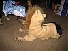 Ready for Halloween!-halloween-037.jpg
