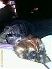 Sleeping babies-1263074703_l.jpg