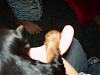My Baby Girl Cricket-hpim1500.jpg