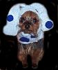 Look what me and my son did to Gizmo-100_1986.jpg