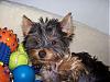 Pictures To Share :)-izzy1.jpg