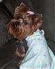 Maddie's new nightgowns fro LuvMySissy!-nightgown3.jpg