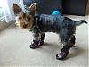 Pics of my baby in new booties!-f10.jpg