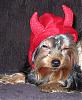 Our little DEVILS are ready for Halloween!-devil-fen.jpg