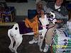 I won 2nd at Petsmart Coustume Comtest-100_0902-760-x-570-.jpg