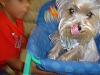 Let's see your tongue pictures!-picture-198.jpg