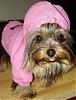 Let's see your tongue pictures!-zoey-yt.jpg