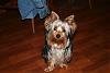 Pictures of Ritzie Britches-img_1352.jpg