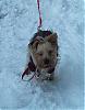 Topher's first romp in the snow...my little snowman!-02nov06-00018.jpg