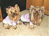 CHANEL & CHERI READY FOR BED in NEW NIGHTIES-img_2791.jpg