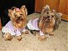 CHANEL & CHERI READY FOR BED in NEW NIGHTIES-img_2790.jpg