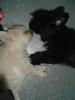 my little kiddies napping ;)-130869638_l.jpg