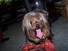 Let's see your tongue pictures!-spanky5.jpg