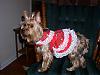 I made Lucy a Christmas dress!-christmas-dress-1-572-x-428-.jpg