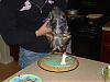 Benji's 1st Birthday Party!!!-benjis-b-day-cake-2.jpg