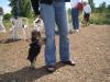 Yoda's First Yorkie Meetup - June 18, 2005-griffin2.jpg