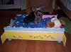 I just finished making Lillians new custom bed..-100_1098.jpg