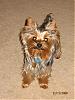 Pics of my 2 silly yorkies-img_0807-2-.jpg