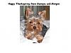 Happy Thanksgiving-justhandsome2thanks.jpg