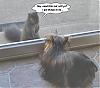 Lillie and the Squirrel! To Funny!-lilliensquirrel.jpg